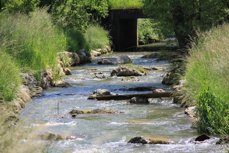 Umbau Schwelle Biber-Altdorferbach Thayngen